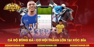 Cá độ bóng đá