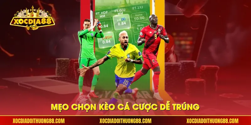 Mẹo chọn kèo cá cược dễ trúng
